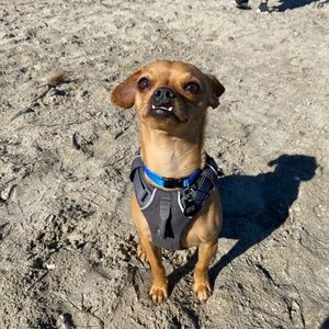 Meet your Posher, Christopher